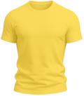 Camisas lisas confeccionadas nas malhas Algodão, Poliéster, Poliviscose e Dry-Fit